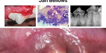 Küçük Hayvan Dişçilik Ekipmanları, Materyalleri ve Teknikleri, 2. Baskı