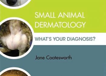 Küçük Hayvan Dermatolojisi: Tanınız Nedir?
