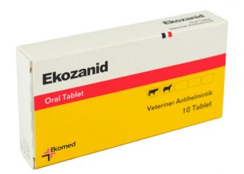 Ekozanid