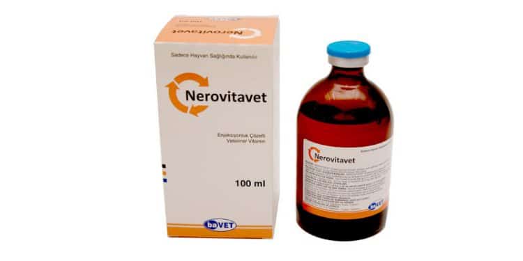 Nerovitavet