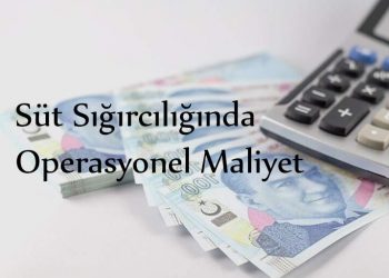 Süt Sığırcılığında Operasyonel Maliyet
