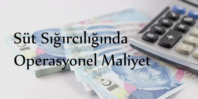 Süt Sığırcılığında Operasyonel Maliyet