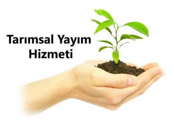 Tarımsal Yayım Hizmeti