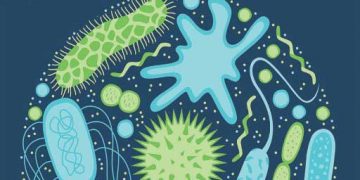 Temel İmmunoloji Bilgileri