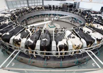 Toplu Süt Sağım Yerleri