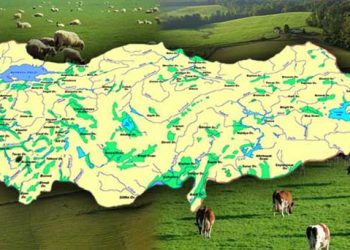 Türkiye'de Yanlış Yürütülen Hayvancılık