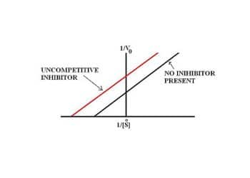 Yarışmasız İnhibisyon Nedir?