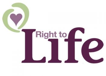 Yaşam Hakkı Nedir?