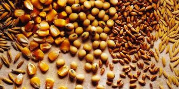 Yaşama Payı Gereksinimi Nedir?