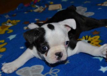 Yassı Enik Sendromu Nedir?