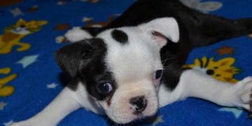 Yassı Enik Sendromu Nedir?