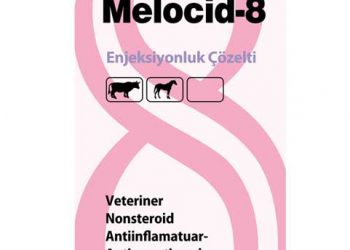 Melocid-8