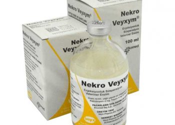 Nekro Veyxym