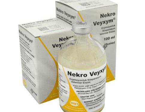 Nekro Veyxym