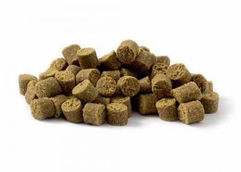 Yarı Yaş Yem Nedir?