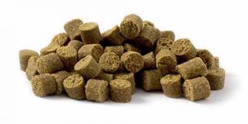 Yarı Yaş Yem Nedir?