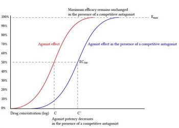 Yarışmalı Antagonizma Nedir?