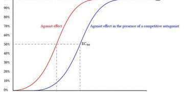 Yarışmalı Antagonizma Nedir?