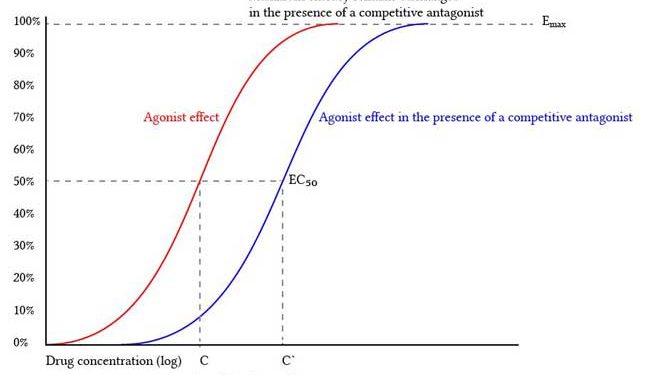 Yarışmalı Antagonizma Nedir?