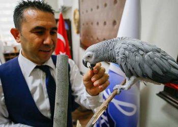 Bu okulda ilk ders hayvan sevgisi