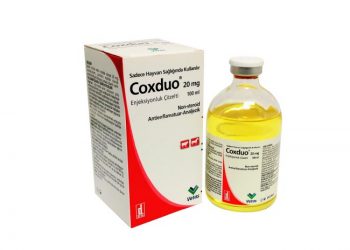Coxduo 20 mg