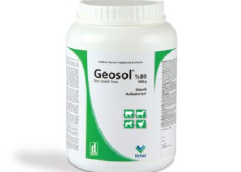 Geosol %80