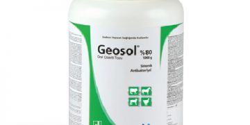 Geosol %80
