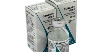 Gonavet Veyx