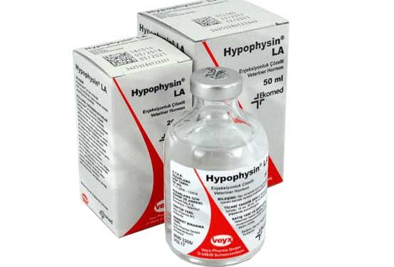 Hypophysin LA