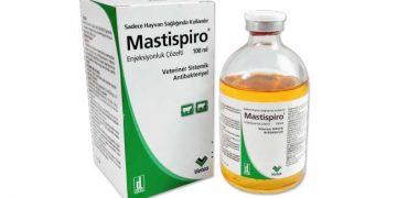 Mastispiro