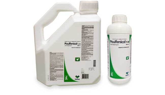 Poulfenicol %10 Oral Çözelti