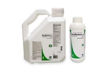 Poulfenicol %30 Oral Süspansiyon