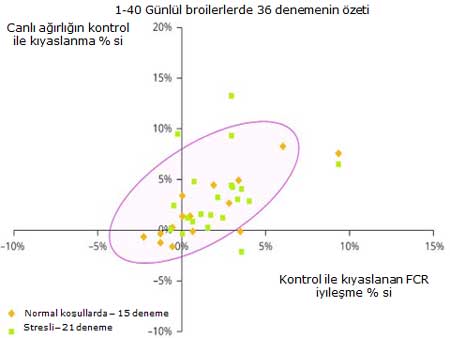 Stresli ve stressiz koşullarda BKD uygulamasının zooteknik performans özeti