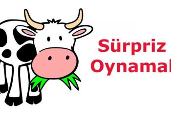 Sürpriz Oynamak