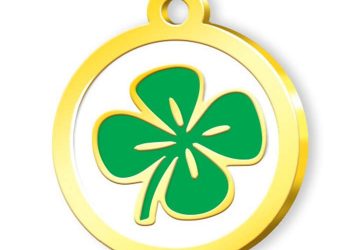 Süt Sığırcılığında Yonca Altın Kıymetinde