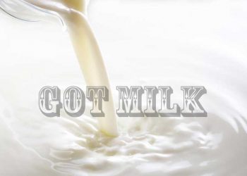 Süt Tanıtım Grubu Kurulmalıdır