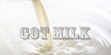 Süt Tanıtım Grubu Kurulmalıdır