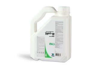 Vetril % 20 Oral Çözelti