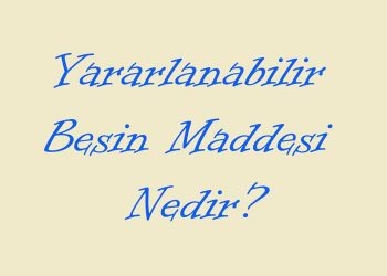 Yararlanabilir Besin Maddesi Nedir?