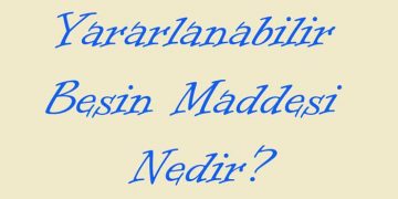 Yararlanabilir Besin Maddesi Nedir?