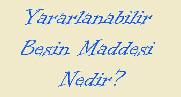 Yararlanabilir Besin Maddesi Nedir?