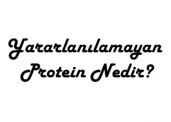 Yararlanılamayan Protein Nedir?