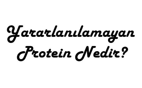 Yararlanılamayan Protein Nedir?