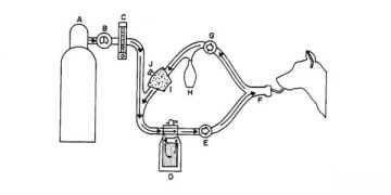 Yarı Açık Anestezi Yöntemi Nedir?