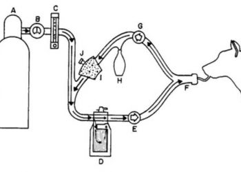 Yarı Kapalı Yöntem Anestezi Nedir?