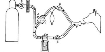 Yarı Kapalı Yöntem Anestezi Nedir?