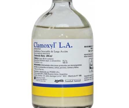 Clamoxyl LA