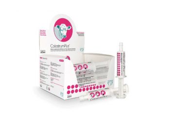 Colostrum Plus Pasta