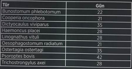 Dectomax Farmakokinetik Koruma Değerleri