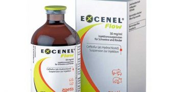 Excenel Flow
